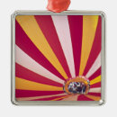 Search for hot air balloon ornaments Colourful