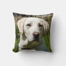 Search for labrador pillows Cute