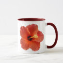 Search for hybiscus Hibiscus