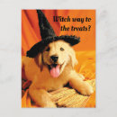 Recherche de balai sorcière invitations Mignon