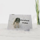 Search for charity christmas cards Dogs