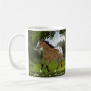 Search for buckskin Appaloosa horse