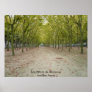 Search for arbres posters Trees