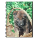 Search for belgian notebooks Puppy
