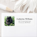 Search for cute st patricks day return address labels Dog