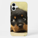 Search for rottweiler dog iphone cases Puppies