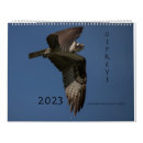 Search for wing office supplies Flying