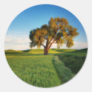 Search for crop stickers Colour