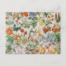 Recherche de adolphe cartes postales Nature