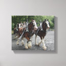 Search for pulled canvas prints Horse