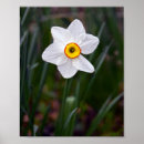 Recherche de poétique posters Printemps
