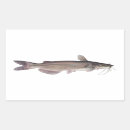 Search for freshwater fish stickers Catfish