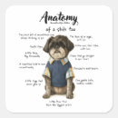 Search for shihtzu stickers Cute