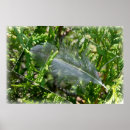 Search for white border posters Green