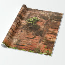 Search for broken gift wrap Texture