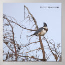 Search for kingfisher painting art Birds