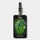 Search for plant tags Nature
