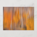 Search for autumn reflection Abstract