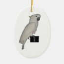 Search for cockatoos ornaments Animal