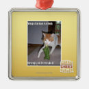Search for vegetarian ornaments I can has cheezburger