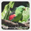 Search for red wings stickers Nature