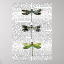 Search for vintage dragonfly posters Dragonflies