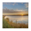Search for wildlife tiles Landscape