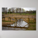 Search for reflective posters Nature