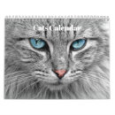 Search for bengal cat calendars Cats
