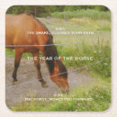 Search for horse coasters Nature