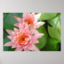 Recherche de étang nénuphar posters Floral