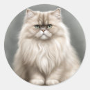 Search for beautiful cat stickers Elegant