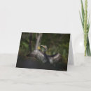 Recherche de cormoran vœux cartes Animal