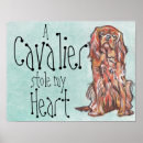 Search for cavalier king charles spaniel art Animal