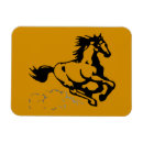 Search for galloping magnets Equine