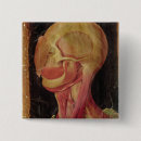 Search for anatomically buttons Anatomy