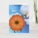 Search for lunch cards Floral