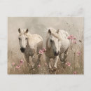 Search for horse postcards Vintage