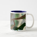 Search for praying mantids mugs Nature