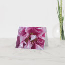 Search for peony thank you cards Magenta