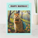 Search for quokka cards Wildlife