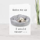 Search for funny dog anniversary cards Wife