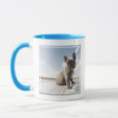 Search for purebred mugs Domestic animals