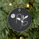 Search for zodiac sign ornaments Capricorn