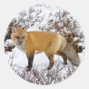 Search for fox in snow stickers Arctic