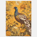 Search for pheasants magnets Wildlife