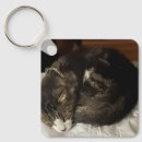 Search for fluffy kitten keychains Cute