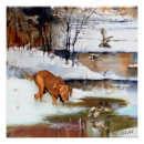 Recherche de chasse de canard posters Nature