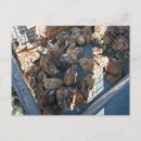 Recherche de fermier cartes postales Fruits