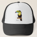 Recherche de bec casquettes Oiseau